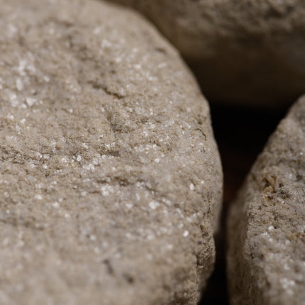 7 Day Smoke Cleansing Charcoal Tablets Collection