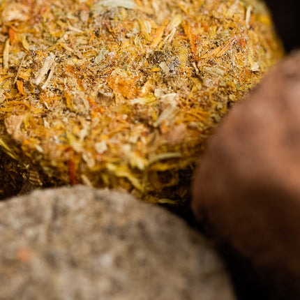 7 Day Smoke Cleansing Charcoal Tablets Collection