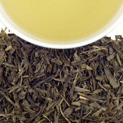 Tropical Green, Tin of 20 Sachets