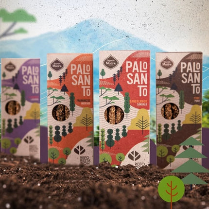 Pure Palo Santo Shorts Collection