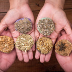 One of Each! 6 boxes