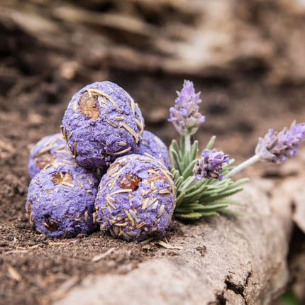 Lavender Herbal Gift Box | Relaxation