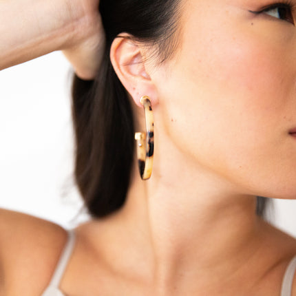 Midis - Tortoise Shell