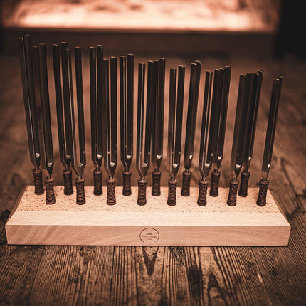 16-Piece Planetary Tuned Therapy Tuning Fork Set