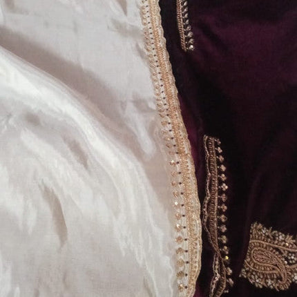 Exclusive Tissue Organza Beautiful White Saree