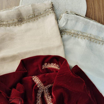 Exclusive Tissue Organza Beautiful White Saree