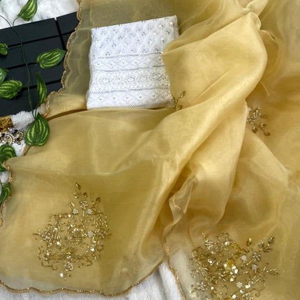 Beautiful Banarasi Designer Chiffon Saree