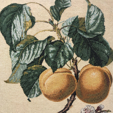 DaDa Bedding Apricot Fruit Elegant Accent Throw Pillow Cushion Cover - 1-Piece - 18"