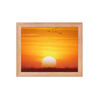 Red Oak / 8″×10″