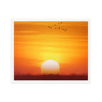 White / 16″×20″