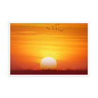 White / 24″×36″