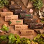 One of Each! 4 Boxes