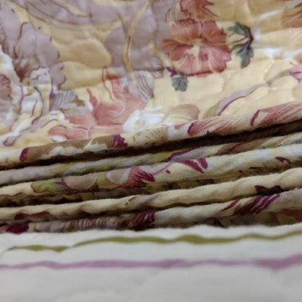 DaDa Bedding Cottage Floral Blossoming Patchwork Quilted Coverlet Bedspread Set (DXJ103112)